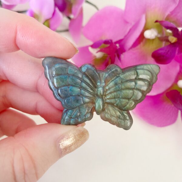 Labradoriet - labradorite - vlinder - butterfly