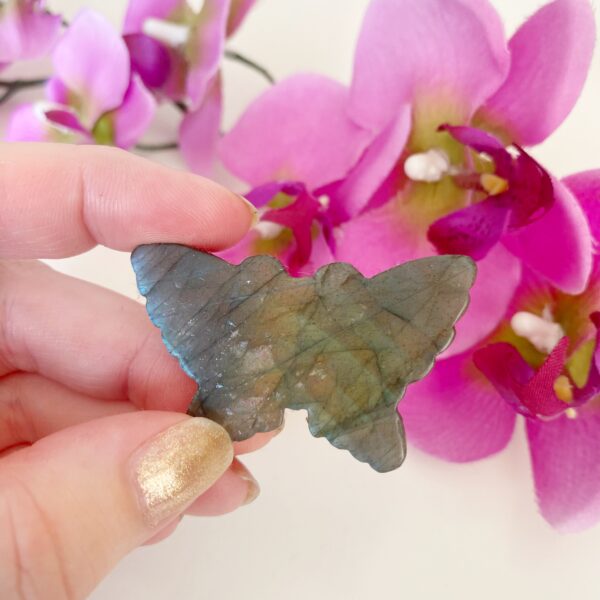 Labradoriet - labradorite - vlinder - butterfly